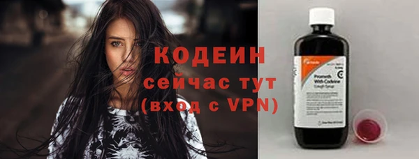 индика Каменск-Шахтинский