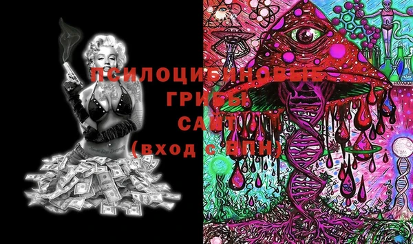 индика Каменск-Шахтинский