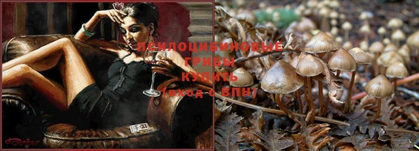 индика Каменск-Шахтинский