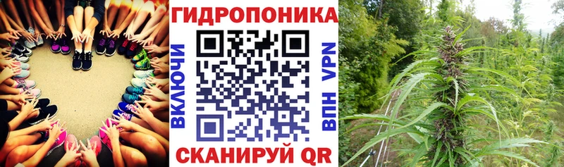 Бошки Шишки ГИДРОПОН  Купить где  Афипский 